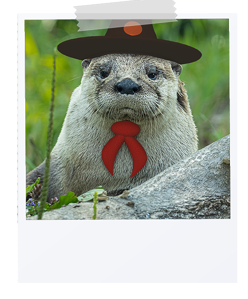 picture of Ranger Owen