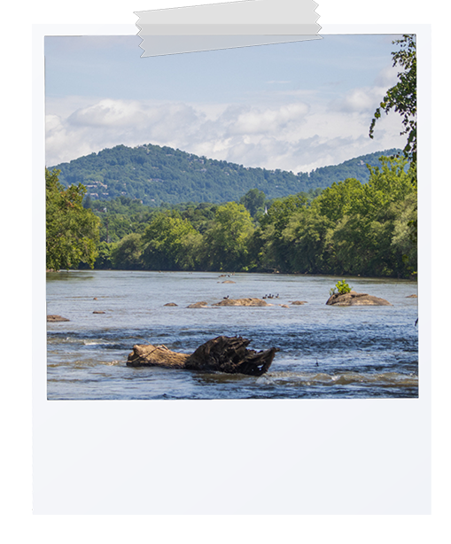 picture of RiverLink