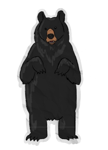 bear sticker