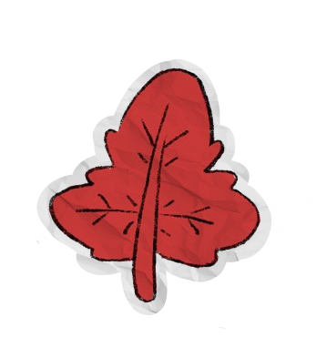 a picture of a leaf.