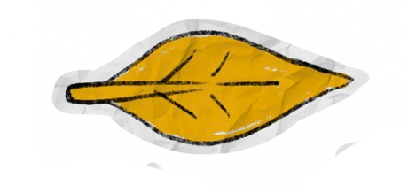 a picture of a leaf.