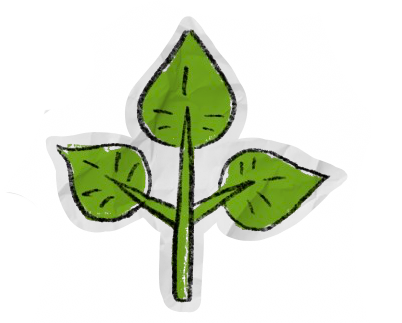 a picture of a leaf.