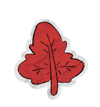 a picture of a leaf.