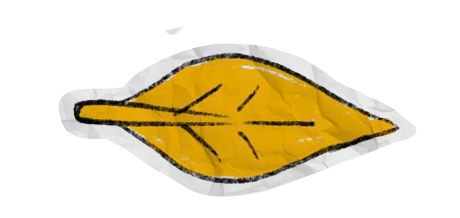 a picture of a leaf.