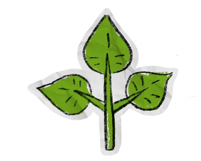 a picture of a leaf.